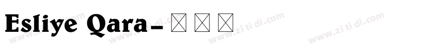 Esliye Qara字体转换